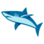 :shark: 🦈