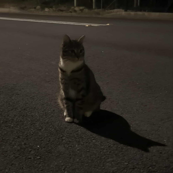230f1f24-b7fd-42cb-960d-3390013b2469-image.png