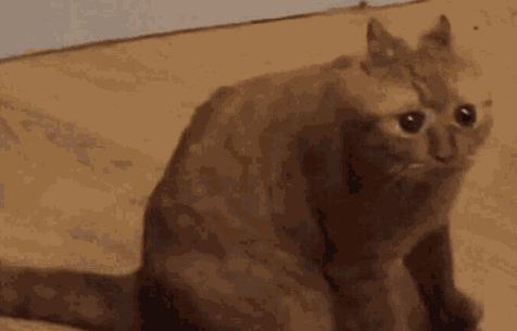 f065c818-6019-45be-aed1-dddd1cccd3c7-image.png