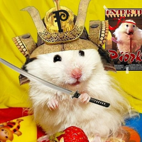 hamstersonPcP